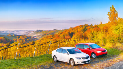 Breathtaking vineyards landscape in South Styria near Gamlitz.