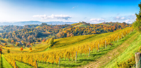 Fototapeta na wymiar Breathtaking vineyards landscape in South Styria near Gamlitz.