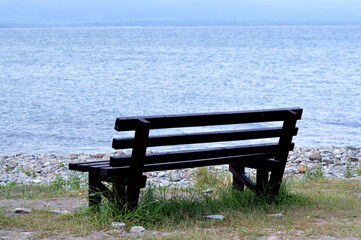 Fototapeta na wymiar Brown wooden bench in the park. Summer sunny day. Green grass and trees. Resting and relaxing area. Empty bench for sitting. Wood exterior material. Beautiful bench near sea or lake.