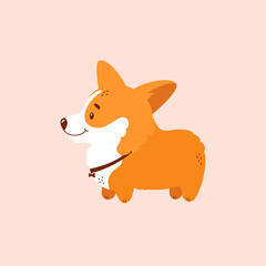 Welsh corgi puppy isolated on pink background. Cute dog character. Side view. Vector illustration.