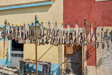Fish drying on a street. Peniche. Portugal - 487059111