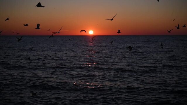 4k video of an amazing sunrise landscape at the Black Sea shore in Constanta, Romania, with beautiful orange sky color