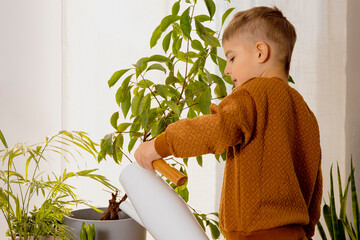 Adorable, cute boy caring of indoor plants at home. A little helper in the household, leisure...