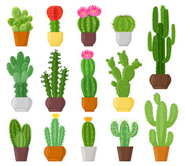 Cartoon potted cactuses, desert plants, cacti and succulents. Indoor potted plants, botanical green cactus flowers vector illustration set. Cactuses in pots © WinWin