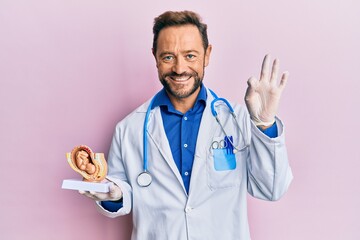 Middle age gynecologist man holding anatomical model of female uterus with fetus doing ok sign with fingers, smiling friendly gesturing excellent symbol - obrazy, fototapety, plakaty