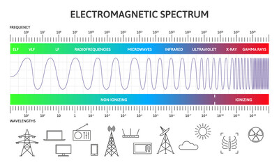Electromagnetic spectrum infographic, magnetic wavelengths diagram. Physics magnetic radiation waves vector illustration. Diagram of electromagnetic spectrum - obrazy, fototapety, plakaty