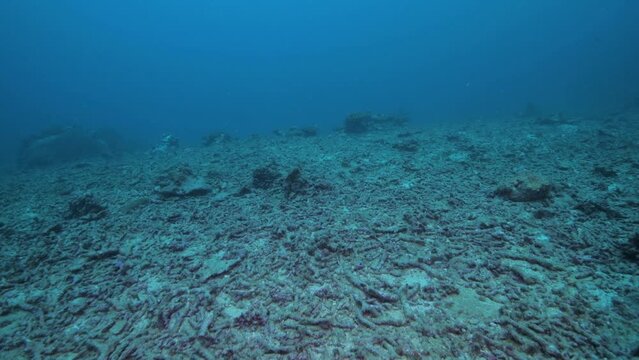 Dead coral reef consisting only of coral rubble in the South Pacific 
