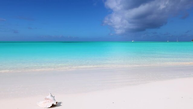 A beautiful, tropical beach with turquoise, shining sea and a Conch shell in the Bahamas, Long Island, Caribbean