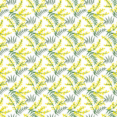 mimosa flower seamless pattern