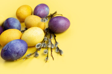 Easter eggs and willow branches on a yellow background. Concept. Painted colorful eggs. Photo