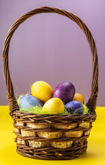 Easter eggs in a basket on a yellow-purple background. Multicolored eggs. Easter. Photo
