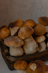 Porcini. White Mushrooms close up. Big mushrooms
