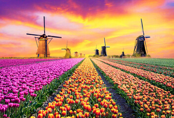 Magical fairy fascinating landscape with windmills middle tulip field in Kinderdijk, Netherlands at dawn. (Meditation, anti-stress, harmony - concept) - obrazy, fototapety, plakaty