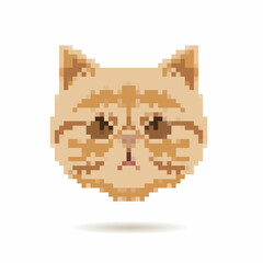 Cat portrait abstract isolated on a white backgrounds, vector illustration