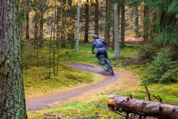 Fast moving mountain biker on forest trail