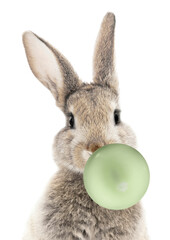 Bunny with green balloon
