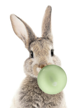 Bunny with green balloon