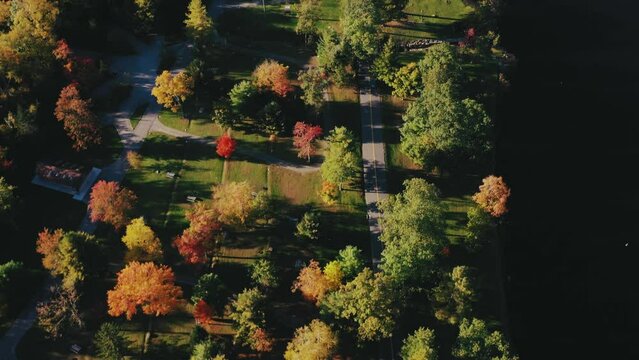Aerial drone shot following a car passing by lush green vegatation in a park in Litchfield County, Lichfield in United States on a bright sunny day.
