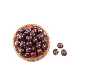 Euterpe oleracea - Acai Fruit Of The Palm Manaca