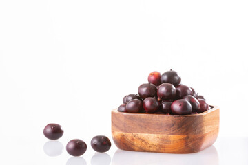 Euterpe oleracea - Acai Fruit Of The Palm Manaca