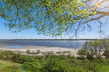Green tree branches overhanging the beach at the Elbe River in Wedel, Germany