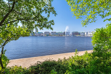 View of the Alster river (Binnenalster) in Hamburg with flowering green vegetation in the foreground