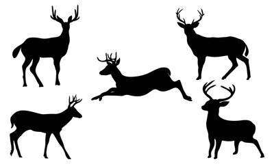 Deer vector