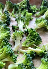 fresh broccoli 