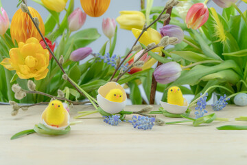 Kolorowe Wielkanocne tło z wiosennymi kwiatami i kurczakami w skorupkach jajek. - obrazy, fototapety, plakaty