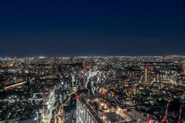 Fototapeta premium 東京夜景