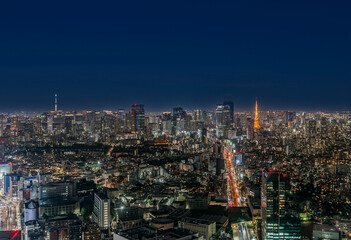 Obraz premium 東京夜景