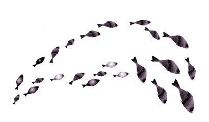 Silhouettes of groups of  fishes on white. Watercolor