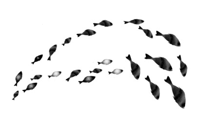 Silhouettes of groups of  fishes on white. Watercolor