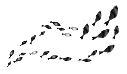 Silhouettes of groups of  fishes on white. Watercolor