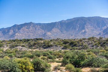 Fototapeta na wymiar An overlooking view of nature in Tucson, Arizona