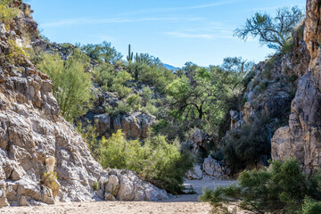 Fototapeta na wymiar An overlooking view of nature in Tucson, Arizona