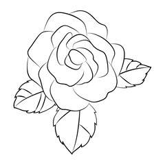 white black contour outline rose flower leaves drawing element 