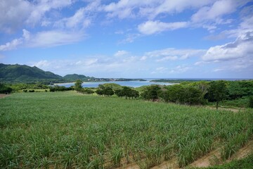 Fototapeta na wymiar 川平湾の風景