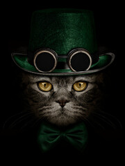 dark muzzle cat  in green hat with canned glasses  and tie butte