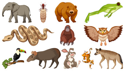 Obraz premium Set of different wild animals cartoon characters