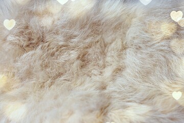 white fur texture close-up abstract background