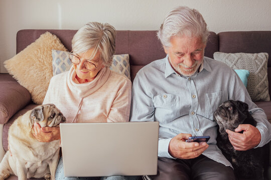 Portrait of senior mature caucasian people couple with two old pet pug dogs spend good time  together with love. Seniors using mobile phone and laptop. Concept of animal therapy for aged old person