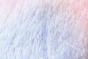 white fur texture close-up abstract background