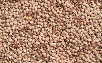 Beautiful lentils image