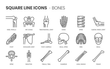 Bones related, pixel perfect, editable stroke, up scalable square line vector icon set.