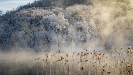 冬の絶景　富良野　鳥沼公園　霧氷と気嵐