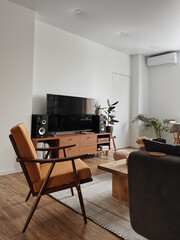 Modern minimal home, living room interior design concept. White walls, tv, loudspeakers, wooden floor, sofa, home plant. Apartment for rent - obrazy, fototapety, plakaty
