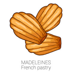 Madeleines French Pastry Pattiserie Cake Colorful Vector Illustration - obrazy, fototapety, plakaty