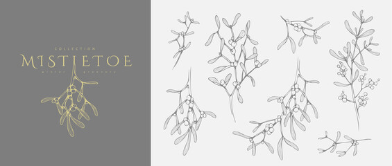 Mistletoe Floral logo and branch set. Hand drawn line winter plant, herb with elegant leaves for christmas invitation, save the date card