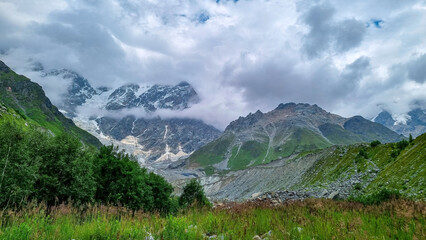 Blooming flowers in a green valley with view on the Shkhara Glacier in the Greater Caucasus Mountain Range in Georgia, Svaneti Region,Ushguli. Snow-capped mountains, Spring. Bushes and hills. Paradise